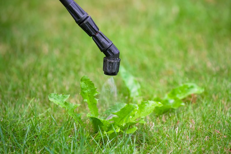 Crabgrass Removal in Aiken, SC