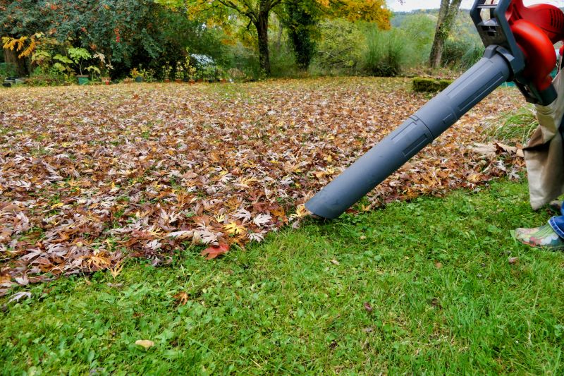 Vacuuming Leaves