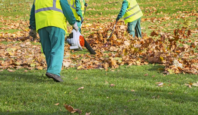 Removing Leaves Effectively