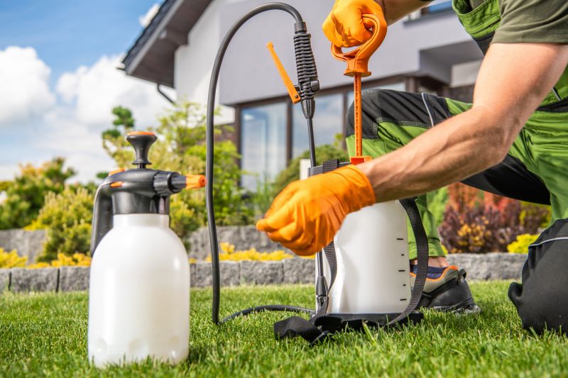 Lawn Fungus Treatment in Honolulu, HI