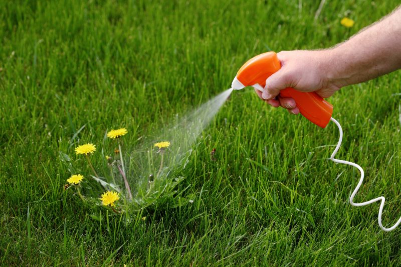 Spring Weed Treatment