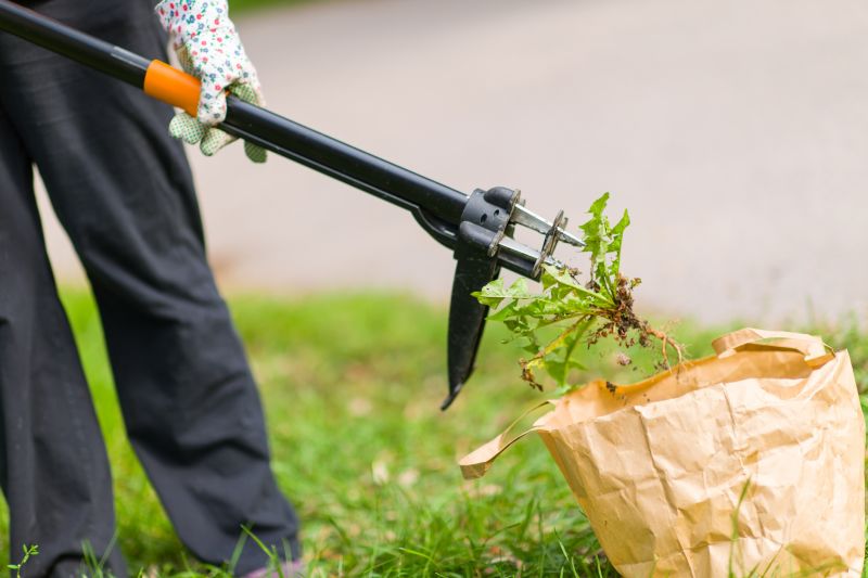 Local Weed Elimination pros at work